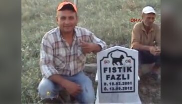 Ölen kedisi için mezar yaptırdı