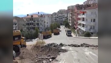 Mudanya'da ağaç için direniş