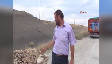 Bunlar kaçak kesimden mi kaldı?