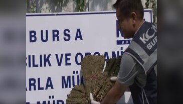 'Çantada kekik var' dedi, esrar çıktı