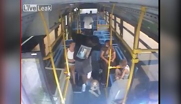 Otobüste köpek çalmaya çalıştı