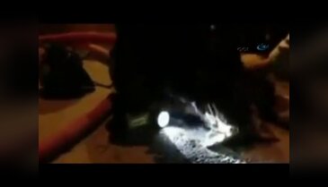 Kurtardığı köpeği suni teneffüsle hayata döndürdü
