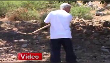 Üniversite mezunu çoban