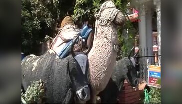 Tutkusu nedeniyle otelini müzeye çevirdi