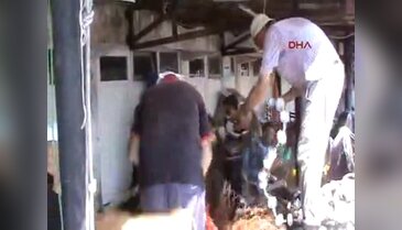 Balıkçılar yeni sezona hazır