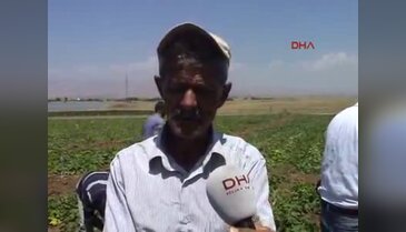 Bu ailede 'S' takıntısı var