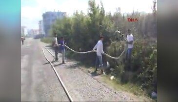 Otları yakayım derken...