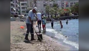 Tonlarca ölü balık denize döküldü