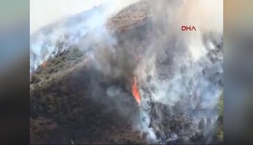 Hatay'da orman yangını