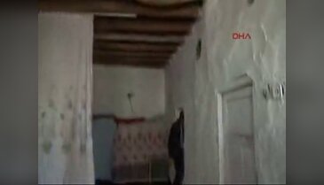 Yılanlar evlerini bastı!