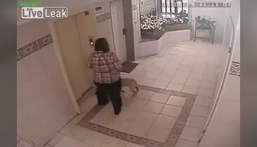 Asansörün kapısı kapandı ve...