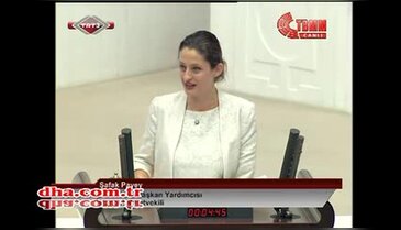 Şafak Pavey'in Meclis konuşması