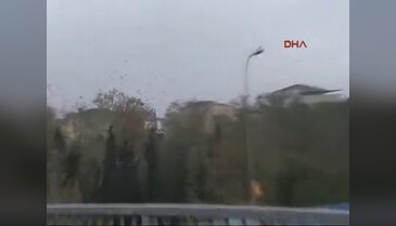Karga istilası