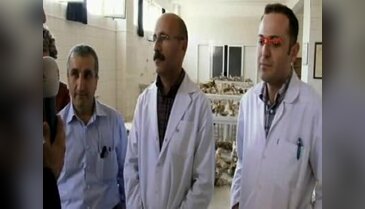 Öldürülen leopar 2 yaşında ve erkek