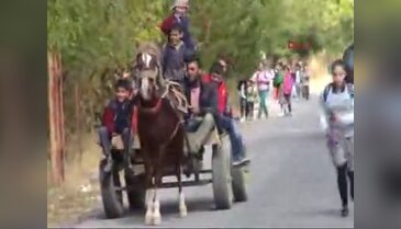 Muş'ta öğrencilerin at arabasına binme yarışı