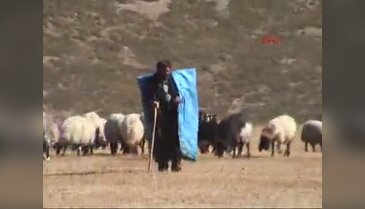Muş'ta hayvan göçü