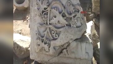 Anadolu leoparının 1800 yıllık izi