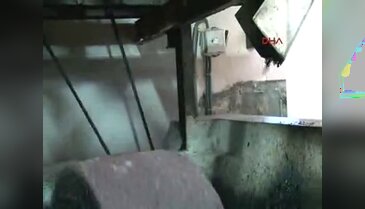 300 yıllık değirmenle yapılan zeytinyağını dünyaya satıyor
