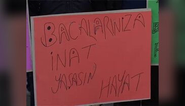 Bursa'da bu ilçe zehir saçan bacalar için ayaklandı