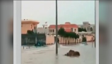 Sel sularında jetski keyfi