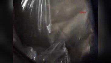 Suriye sınırında 240 kilo esrar ele geçirildi