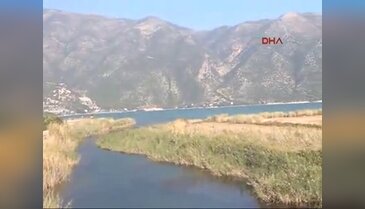 Kuşlar Beymelek Dalyanı'na geri döndü