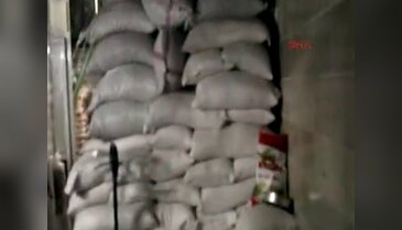10 ton kaçak çay ele geçirildi