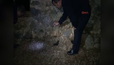 Kız arkadaşı barışmayınca intihara kalkıştı