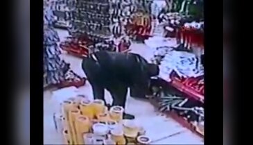 Aynı işyerinden 5 kez hırsızlık yaptı