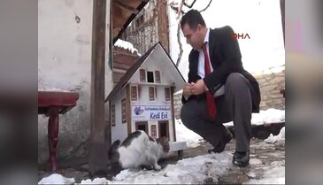 Safranbolu'ya mimariye uygun 16 kedi evi