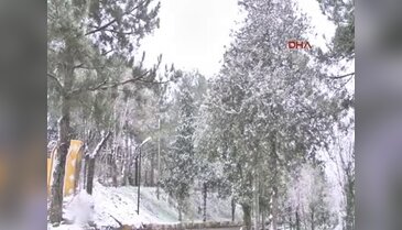 15 köy, 30 mezranın yolu kapandı