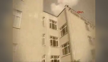 Bir köpeğin gözünden havyan hastanesi filmi