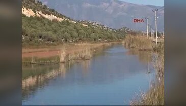 Kuş akını başladı