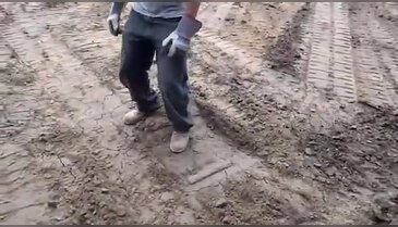 Dünya bu olayı çözmeye çalışıyor