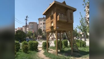 Bursa'da bir ilk! Villa gibi kuş evi