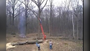 Elektrikli testere faciası