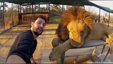 Dünyanın selfie'si