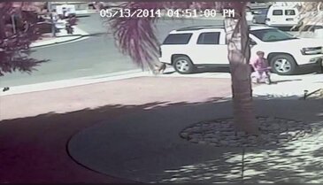 Küçük çocuğun hayatını bir kedi kurtardı