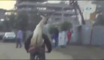 Bisikletle keçi taşınır mı?