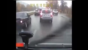 Mafya babasının sonu