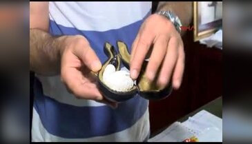 Piposu kırıldı şikayetçi oldu