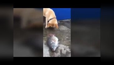 Dünya bu olayı konuşuyor