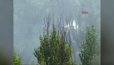 Bursa'da korkutan orman yangını