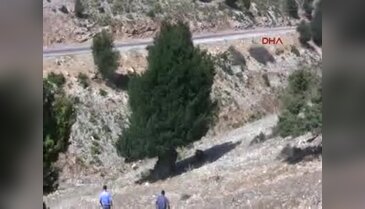 O tam 1200 yaşında!
