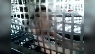 Bonzai'nin korkunç etkisi