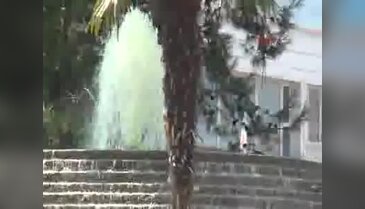 Çırılçıplak havuzdalar