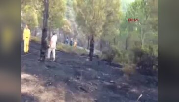 Armutlu yangını söndürüldü