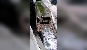 Dehşetin "en net" görüntüleri ortaya çıktı