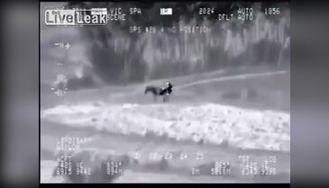 IŞİD militanı eşeğe tecavüz ederken yakalandı
