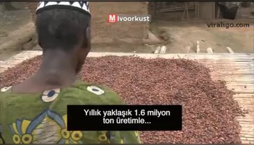 "Kakaonun bu kadar lezzetli olduğunu bilmiyordum"